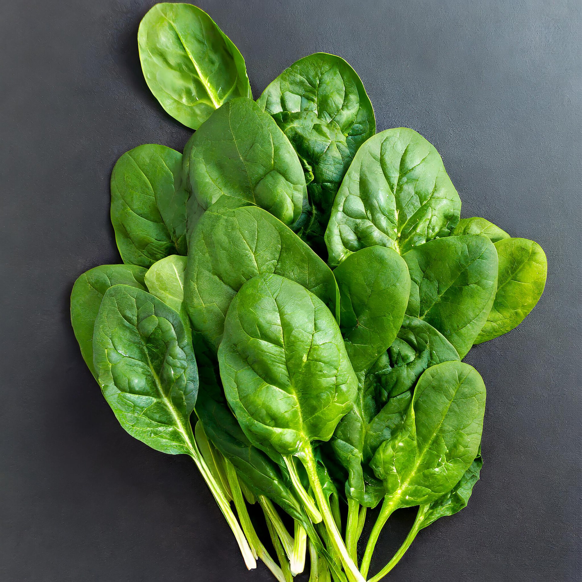 Bunch of spinach leaves on isolated white background